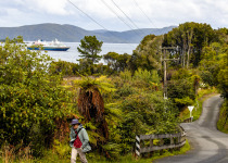 Stewart Island