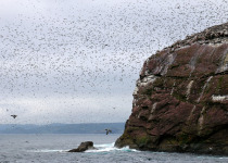 Green Island, Newfoundland