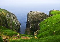 Cliffs at Cape St. Mary's