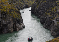 Zodiac cruise, Torngat National Park