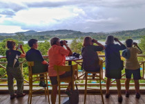 Birding at Gamboa Rainforest Resort