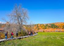 Cap Tourmente National Wildlife Area, Quebec, fall colours