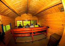 Bear hide in Carpathian Mountains