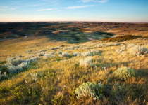 Grasslands National Park Saskatchewan Canada