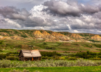 Abandoned homestead near Eastend