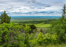 The view from Lookout Point in Cypress Hills Interprovincial Park, Saskatchewan