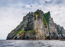 Clouds of seabirds, gannets, fulmars and skuas flying around the dramatic cliffs of Boreray, the precipitous island in the North Altantic archipelago of St. Kilda, the remote islands far west of the Outer Hebrides, Scotland.