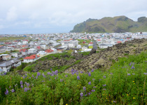 Heimaey, Iceland