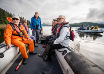 Zodiac cruise in Alaska
