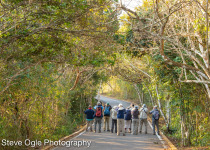 EET birding group in Mexico