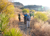 Birding in Southern Mexico