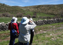 bird watching in Spain