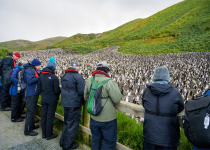 Macquarie Island