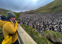 Macquarie Island