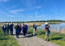 Typical polder landscape at Wetering
