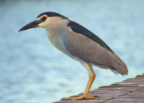 Screenshot 2025-12-29 112234.png