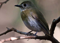 Screenshot 2025-12-29 112413.png