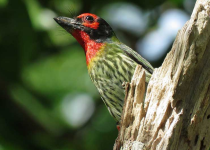 Screenshot 2025-12-29 112134.png