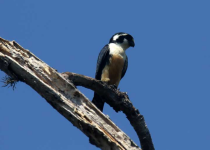 Screenshot 2025-12-29 113621.png