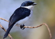 Screenshot 2025-12-29 113729.png