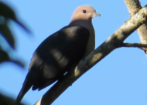 Screenshot 2025-12-29 113910.png