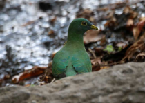 Screenshot 2025-12-29 113658.png