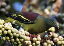 Screenshot 2025-12-29 113839.png