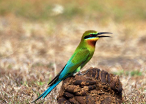 Screenshot 2025-12-29 113807.png