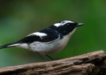 Screenshot 2025-12-29 114135.png