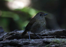 Screenshot 2025-12-29 114207.png