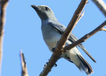 Screenshot 2025-12-29 114244.png