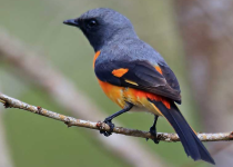 Screenshot 2025-12-29 114352.png