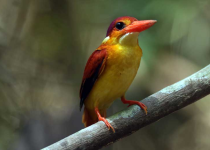 Screenshot 2025-12-29 114316.png