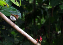 Screenshot 2025-12-29 114600.png