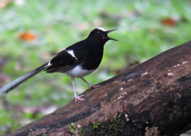 Screenshot 2025-12-29 114626.png