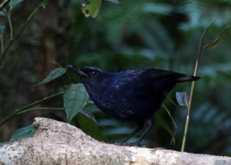 Screenshot 2025-12-29 114755.png