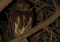 Screenshot 2025-12-29 114723.png