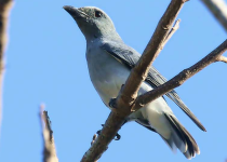 Screenshot 2025-12-29 115738.png