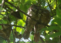 Screenshot 2025-12-29 115710.png