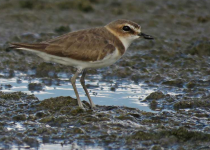 Screenshot 2025-12-29 115646.png