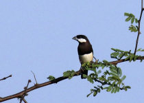 Screenshot 2025-12-29 122937.png