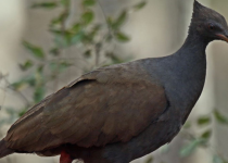 Screenshot 2025-12-29 122804.png