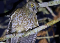 Screenshot 2025-12-29 122704.png