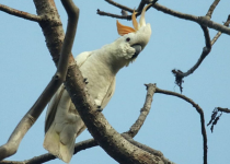 Screenshot 2025-12-29 122905.png