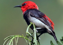 Screenshot 2025-12-29 122635.png