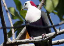 Screenshot 2025-12-29 122733.png