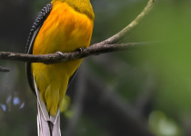 WhatsApp Image 2026-02-05 at 07.18.32.jpeg