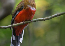 WhatsApp Image 2026-02-05 at 07.19.11.jpeg