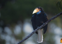 WhatsApp Image 2026-02-05 at 07.21.22.jpeg