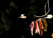 WhatsApp Image 2026-02-05 at 07.21.38.jpeg